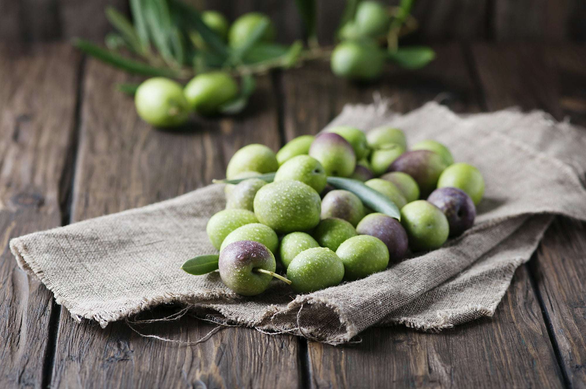 Raw olive for making oil